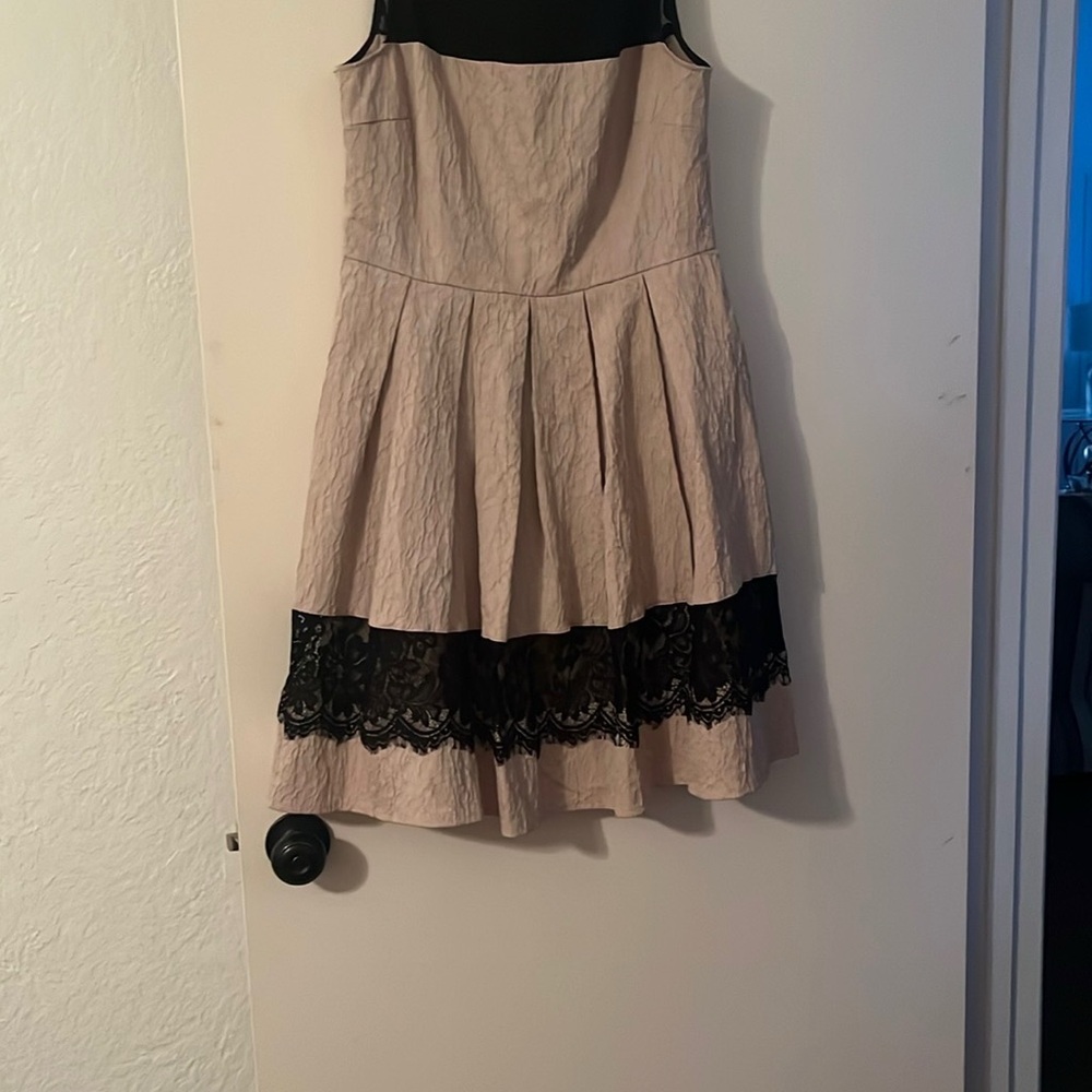 Taylor Pink Dress with Black Lace Detail